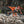 2024 KTM 300 XC-W HARDENDURO - Traction