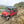 2023 Honda® Pioneer 1000-6 Deluxe Crew - Traction